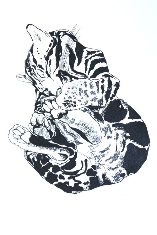 Tiger cub by Irina Poleshchuk