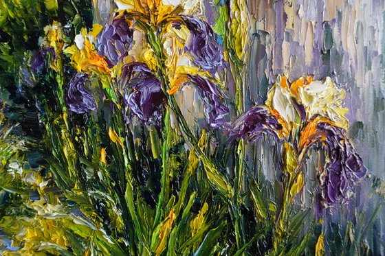 Irises in Bloom