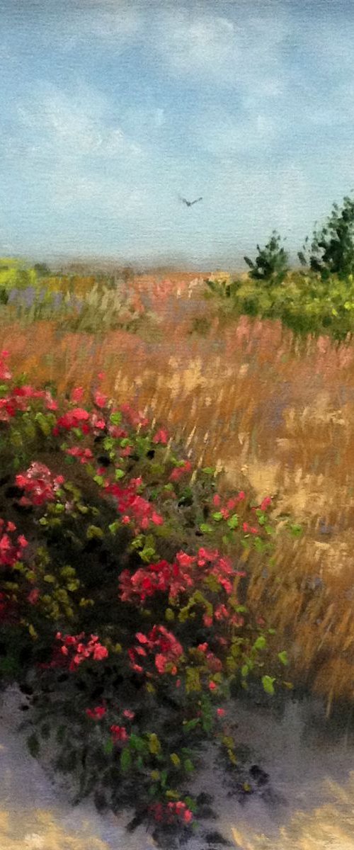 Across The Dunes by Tatiana Roulin