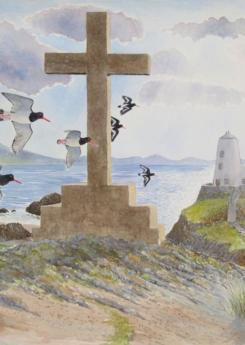 Oystercatchers flypast on Llanddwyn Island, Menai Straits, Anglesey by John Horton