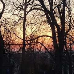 Visit Joanna Plenzler shop