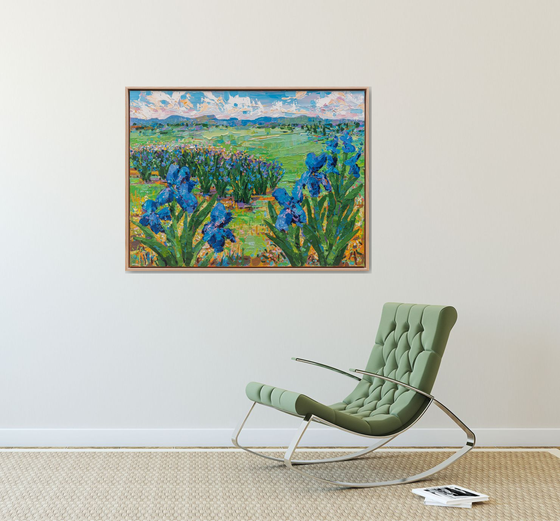 Tasman Lily Pond 50