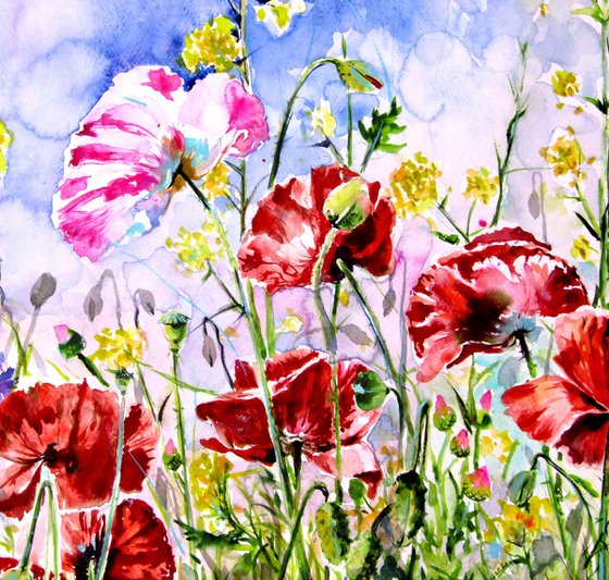 Poppies field