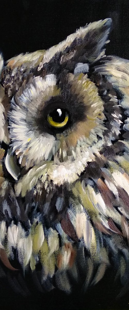Birds Art Owl Wildlife Nature Night Bird Black & Gold Acrylic Art by Anastasia Art Line