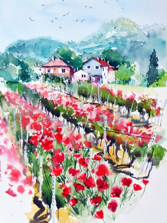 Poppies in the Vineyard