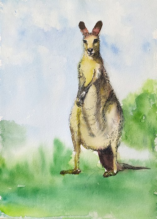 Kangaroo Ink and watercolor by Asha Shenoy