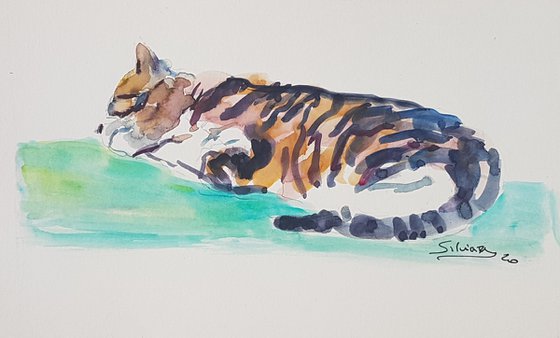 Dozing cat study II