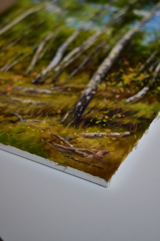 Birch grove