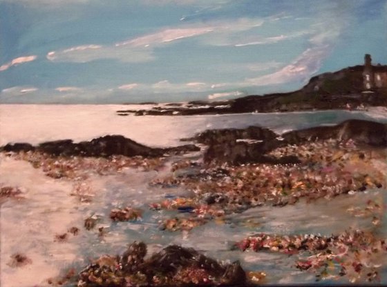 Mussel Shoreline NW Scotland
