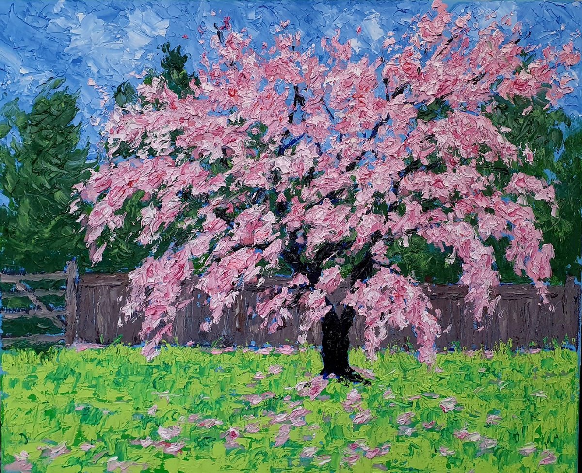 blossom 35 by Colin Ross Jack