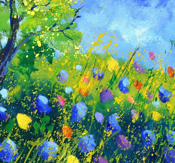 Wild flowers -5523