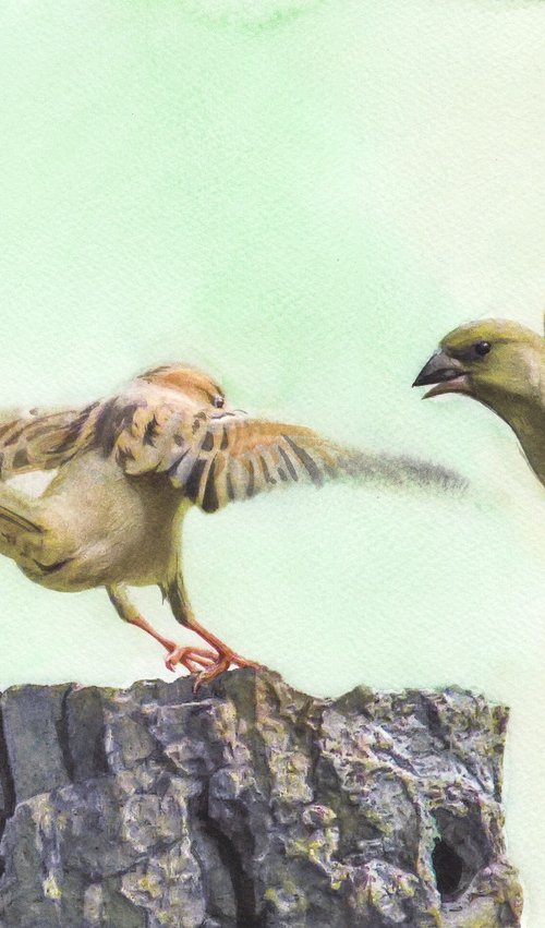 BIRDS LXXIX by REME Jr.