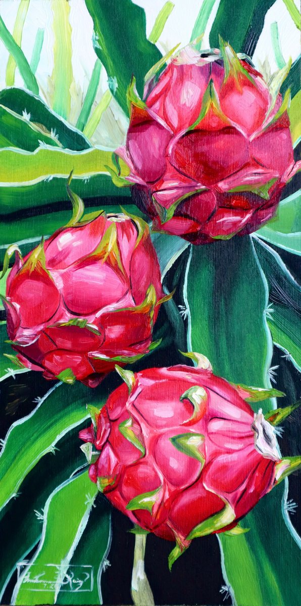 Impressionistic Botanical Oil Painting By Amani Muhammad, 6 X 12, Dragon Fruit, Original Artwork