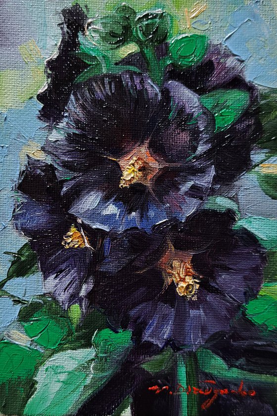 Black Hollyhock