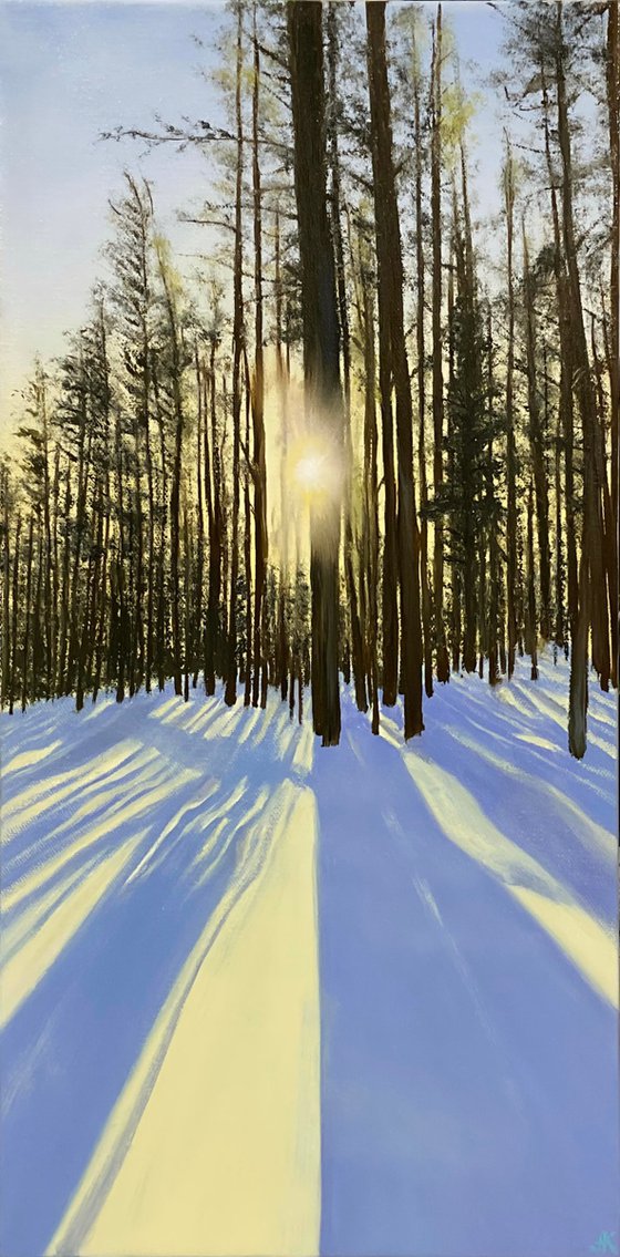 Tranquil Sunrise. Landscape