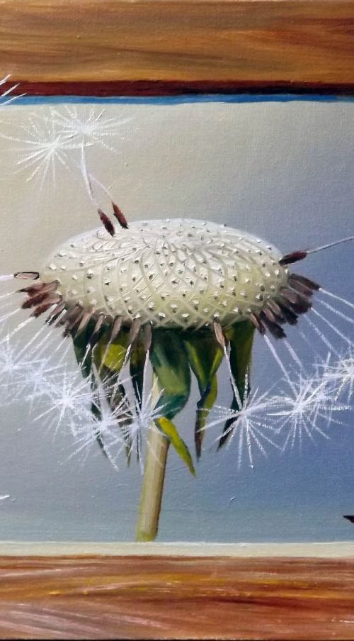 Dandelion by Oleg Riabchuk
