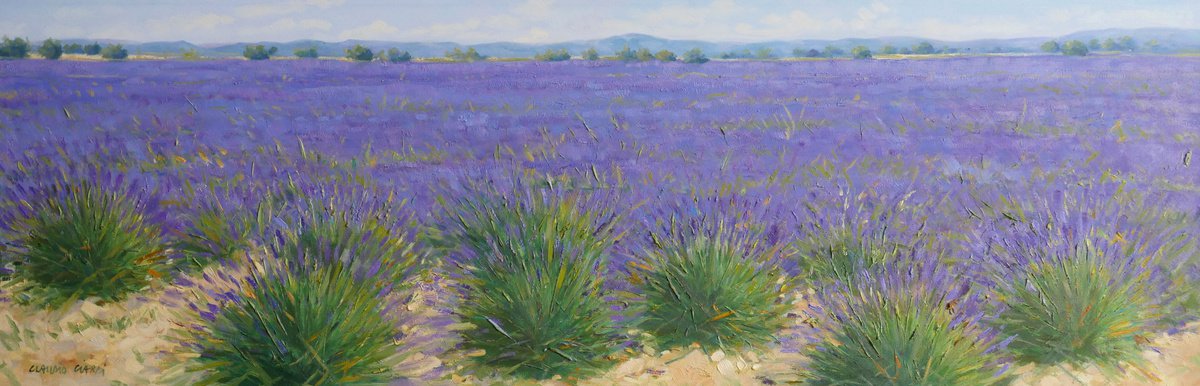 Impressionistic Landscape Oil Painting By Claudio Ciardi, 35 X 12, Lavander Fields In Provence, Original Artwork
