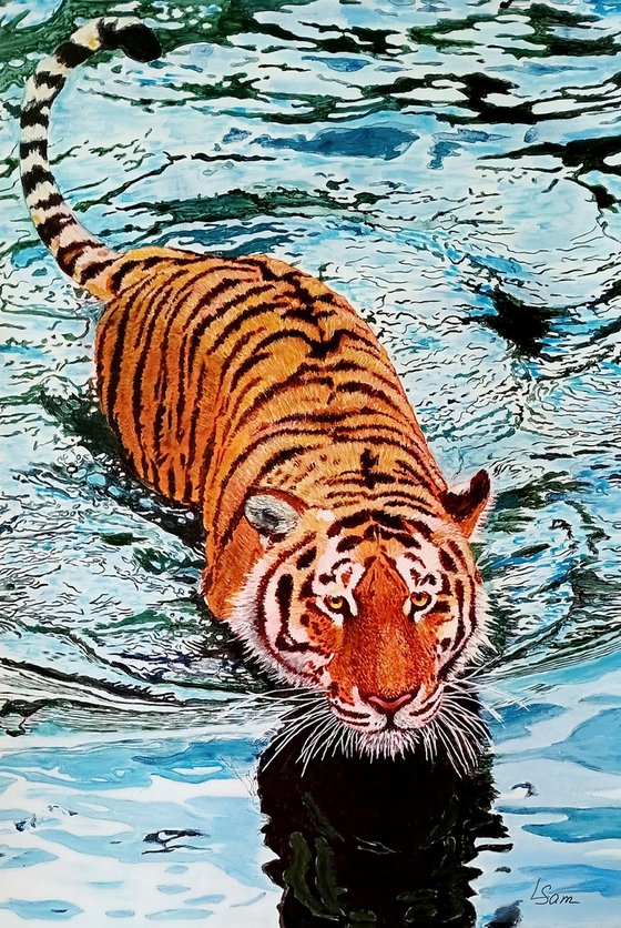 Floating Tiger