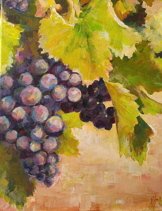 Grapes