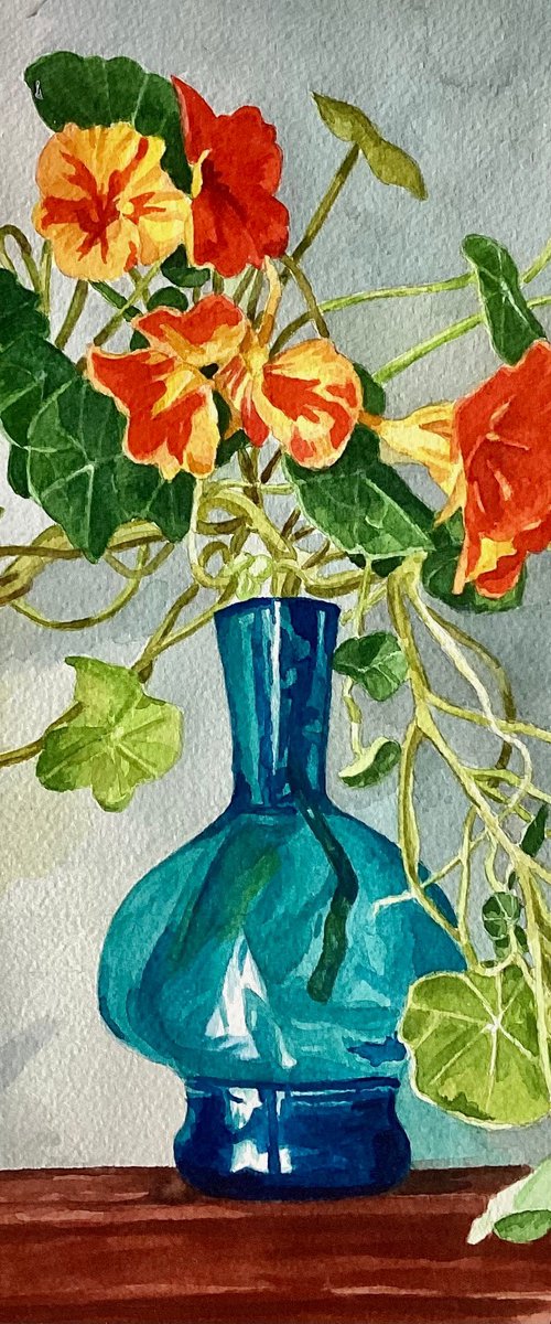 Nasturtiums by Rosalind Forster