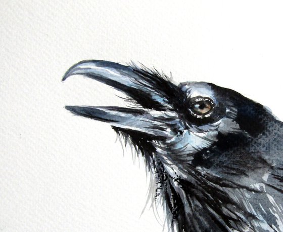 Crow IV
