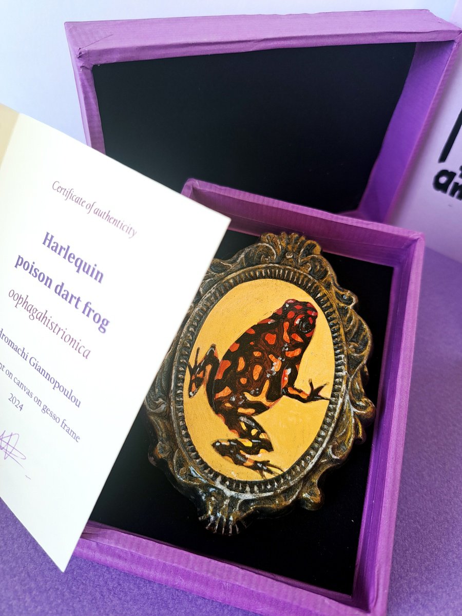 Illustrative Animal Acrylic Painting By Andromachi Giannopoulou, 3 X 4, Harlequin Poison Dart Frog, Original Artwork