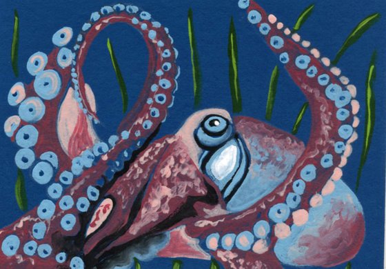 ACEO ATC Original Painting Octopus Marine Wildlife Art-Carla Smale