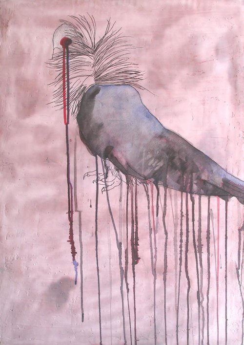 Bird by Ricardo Machado