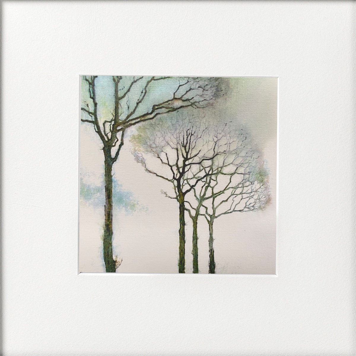 Monochrome - Winter trees by Teresa Tanner