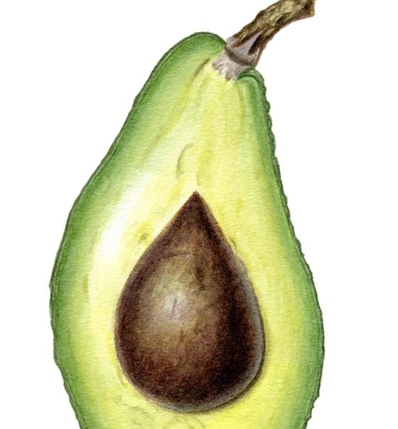 Avocado Half