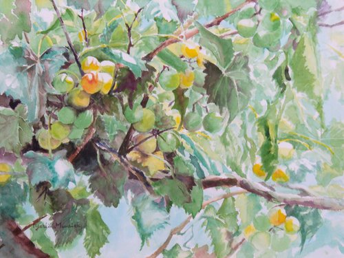 Grapes II by Yoshiko Murdick