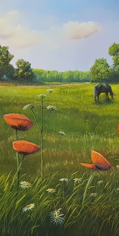 Summer Memories by Vladimir Jarmolo