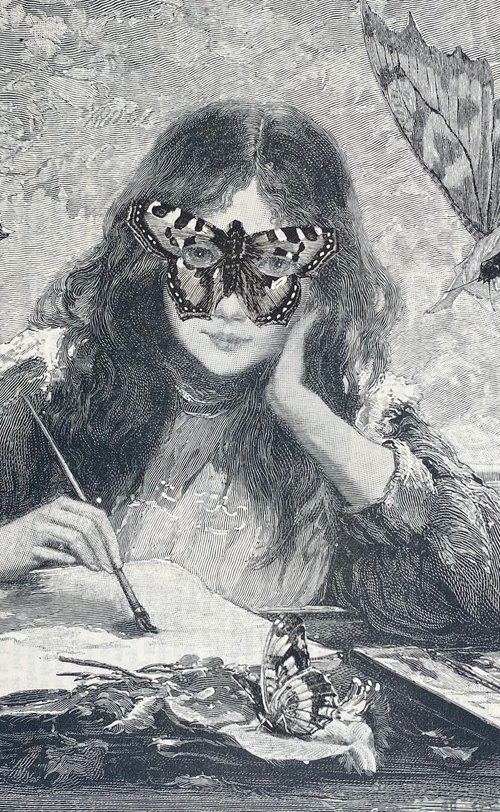 Drawing butterflies by Tudor Evans