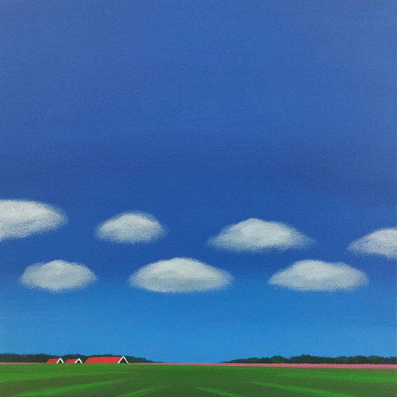 White clouds, pink tulips