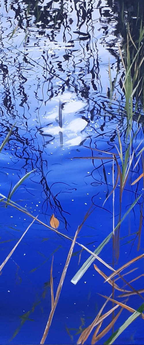 By the River by Cathal Gallagher