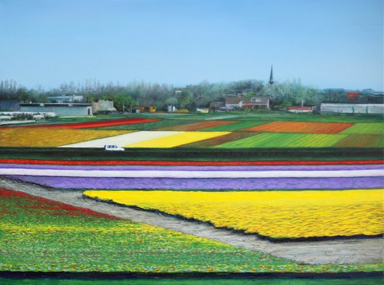 Flower fields
