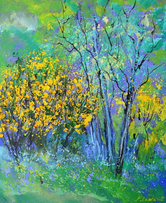 Yellow broom flowers