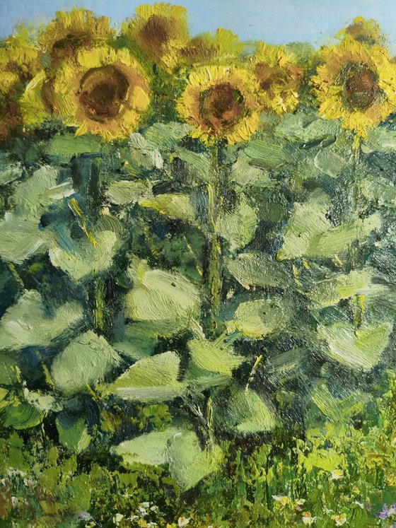 Landscape with sunflowers