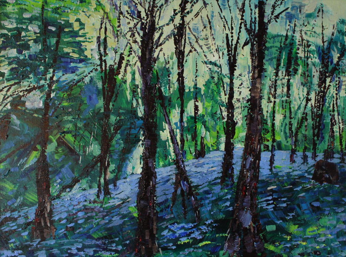 Bluebells and Boulder by Julia Preston