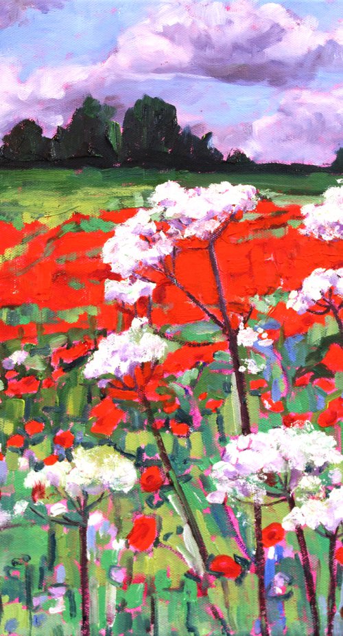 Poppy Field by Zoe Elizabeth Norman
