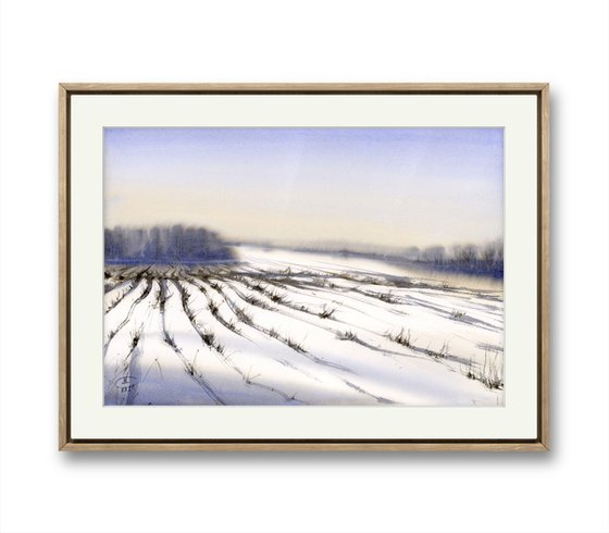 Regularity. Winter fields