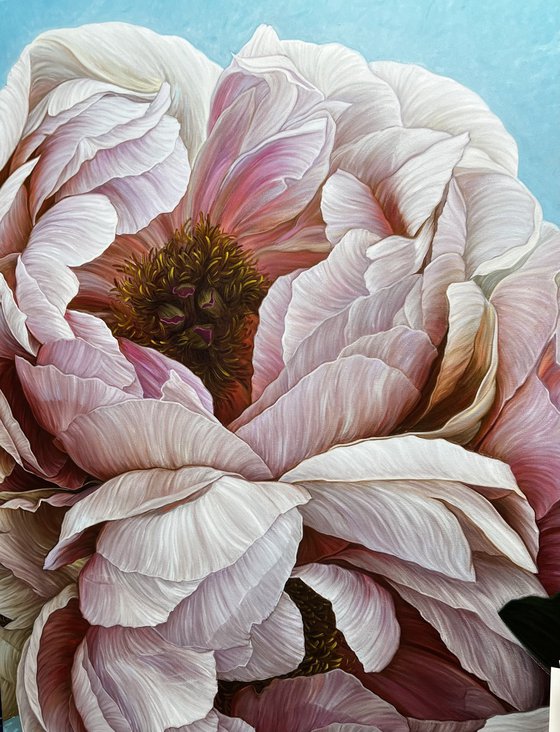 Coffee pink peonies