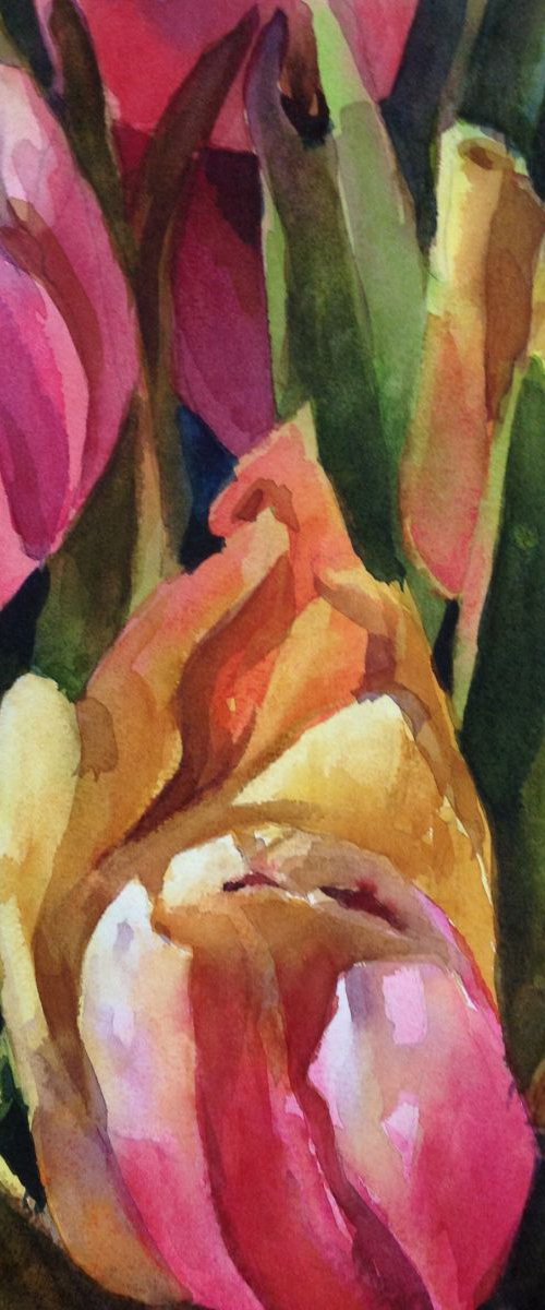 Tulips by Sri Rao