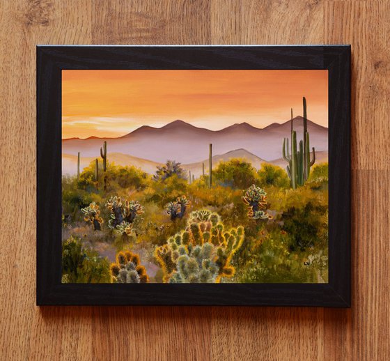 Sunset in saguaro cactus desert
