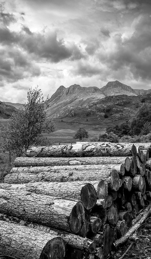 Great Langdale from Blea Tarn - Lake District by Stephen Hodgetts Photography