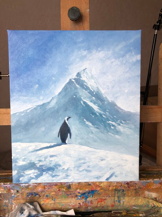 Lonely penguin, but why?