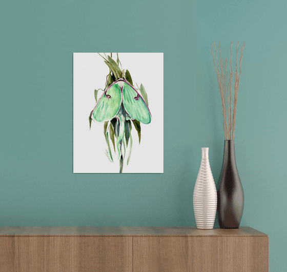 Luna Moth