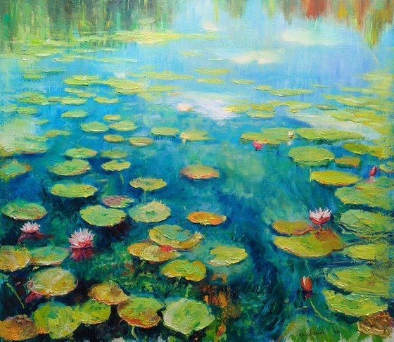 Water lilies on the river