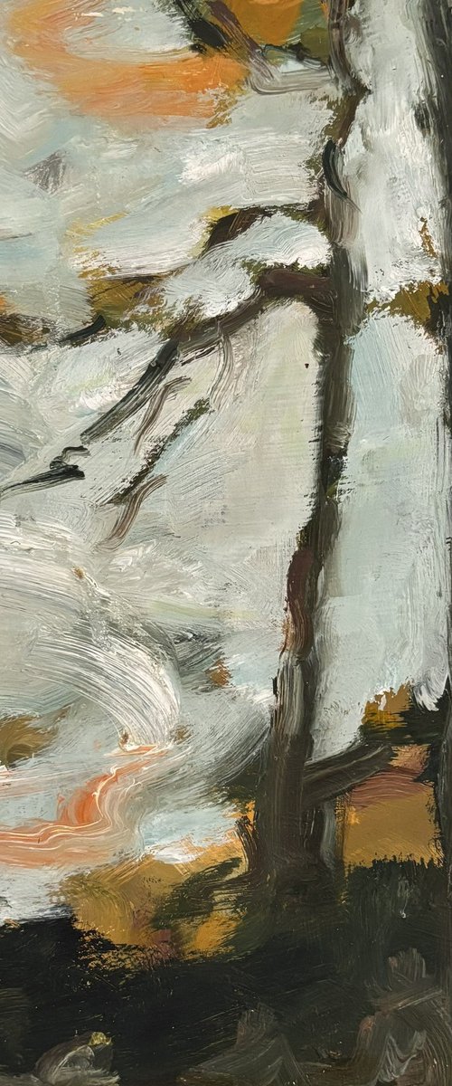 High Forest by Joanna Farrow