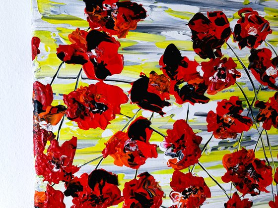 Red Poppies 4
